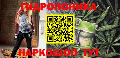 не бодяженный Тара