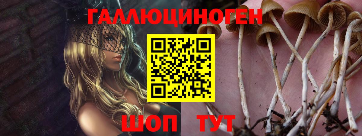 наркошоп  Вход с VPN  Орск  Галлюциногенные грибы прущие грибы 